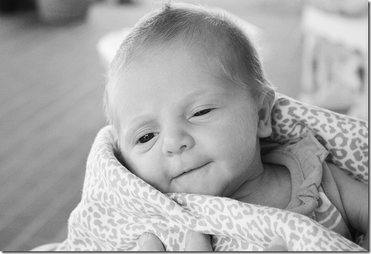 Callie3weeksold