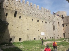 IMG_6311