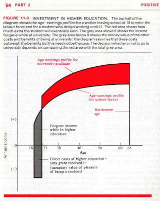 Implausible but pretty diagram showing how much more graduates earn compared to how much they loose while studying