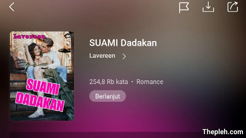 Novel Suami Dadakan Full Bab