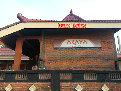 araya homestay pacitan