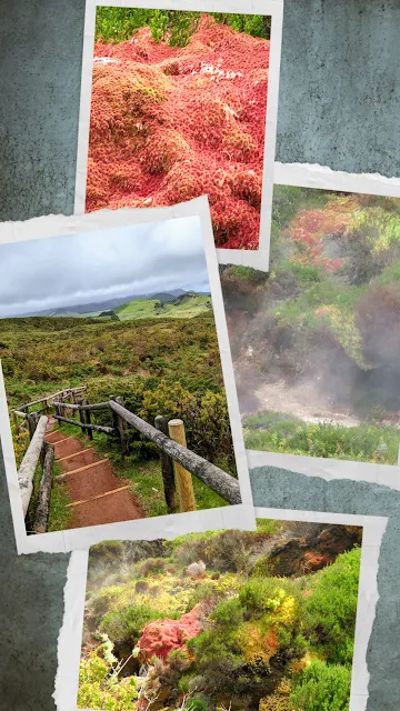 Furnas do Enxofre on Terceira Island in the Azores