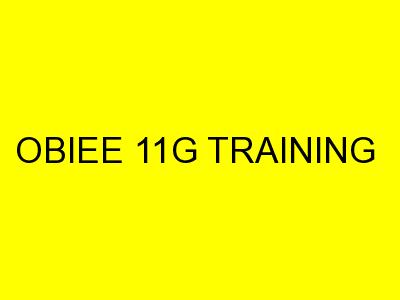 OBIEE TRAINING