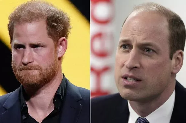 Prince Harry Faces Heartbreaking Setback as Prince William Prepares for Future Role