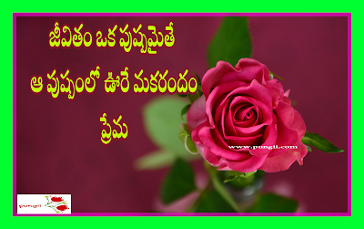  Latest Deep  Prema mini Telugu kavithalu and  Telugu Love Quotes.