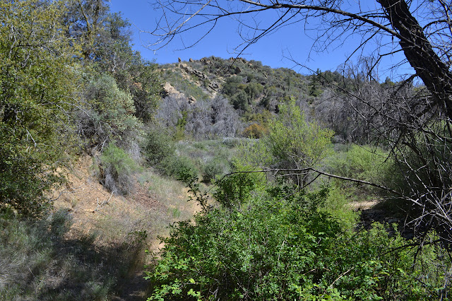 outcrops of rocks