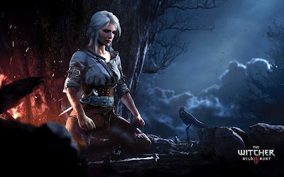the witcher wallpaper background