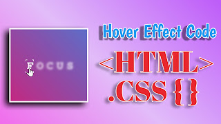 Focus Hover Effect With HTML And CSS