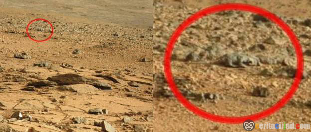 http://www.ceritaciijail.com/2013/06/Pengguna.Internet.Heboh.Ada.Foto.Kadal.di.Planet.Mars.html
