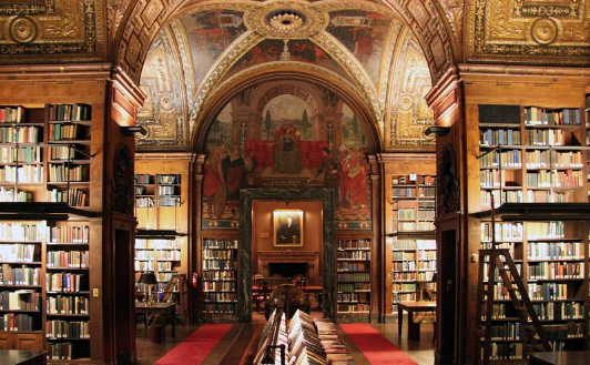 New York University (NYU) is bigest library