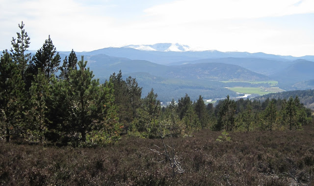 Lochnagar across Deeside