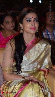 Actress Shriya Saran New Images in Silk Saree at Gautamiputra Satakarni Audio Launch  0013.jpg