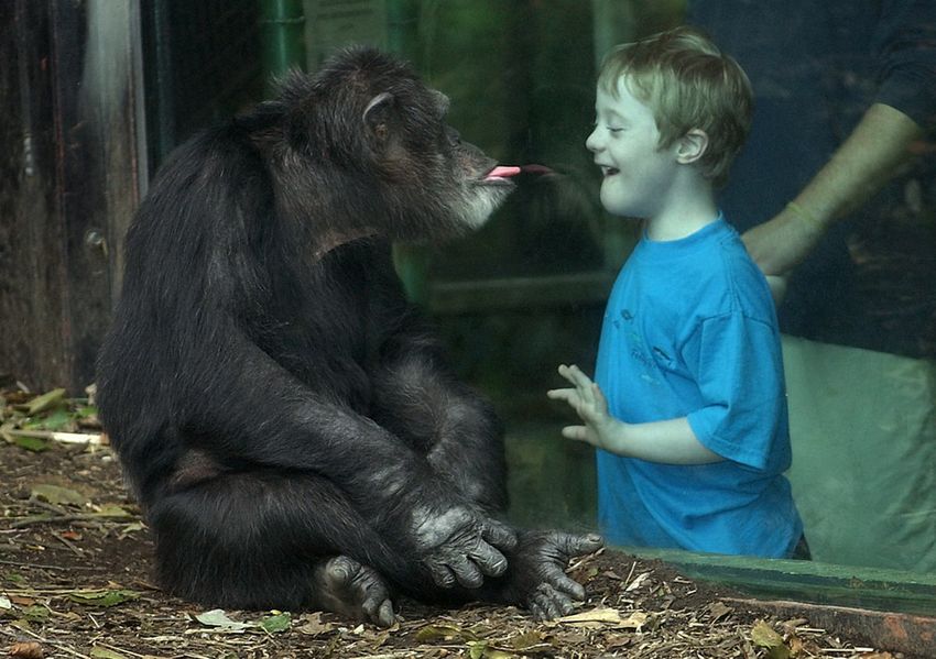 ... funny pictures of cute kids hanging out with animals, kids and animals