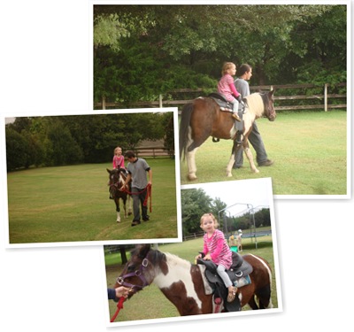 View pony rides 2