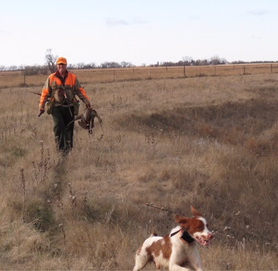 bird dogs and bird hunting