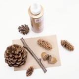 Pinecone Photo Holder - Step 1