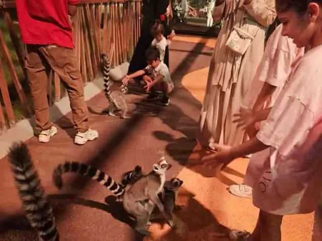 New Indoor Jungle in Jeddah Brings Nature and Wildlife to the City - Saudi-Expatriates.com