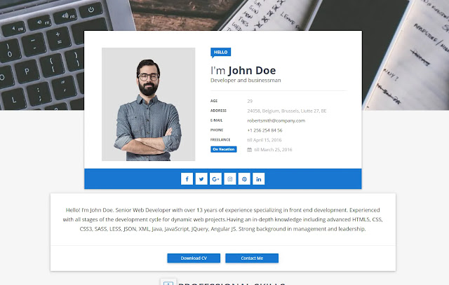 Sora CV Responsive Personal Blog Landing Page Portfolio Business Services Blogger Template Theme