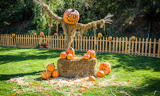 Accesorios de Decoración, Halloween