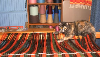 Catzee couldn't resist all that yarn!