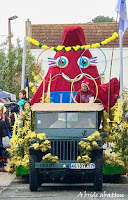 fête mimosa Saint-Trojan-les-Bains (17)