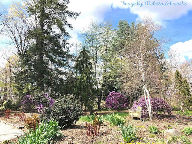 Spring adds an extra joy to Hauberg's gardens.