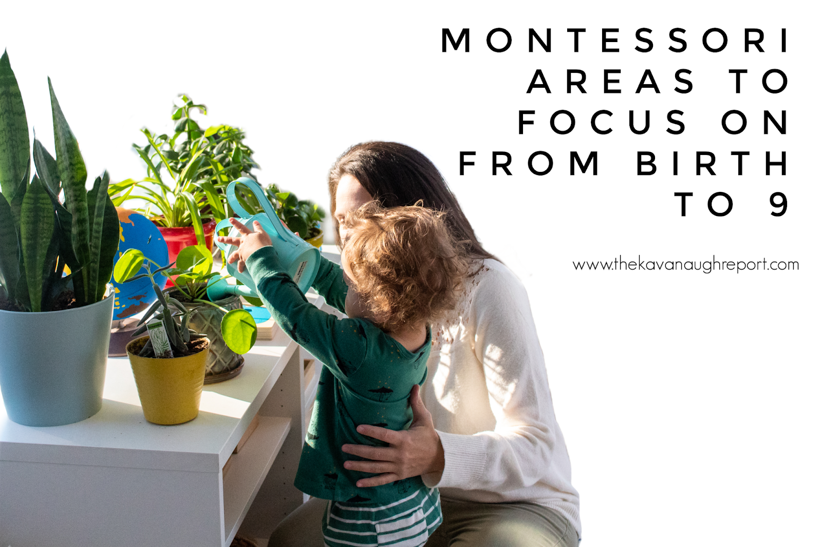 Montessori "Areas" to Focus On at Home 