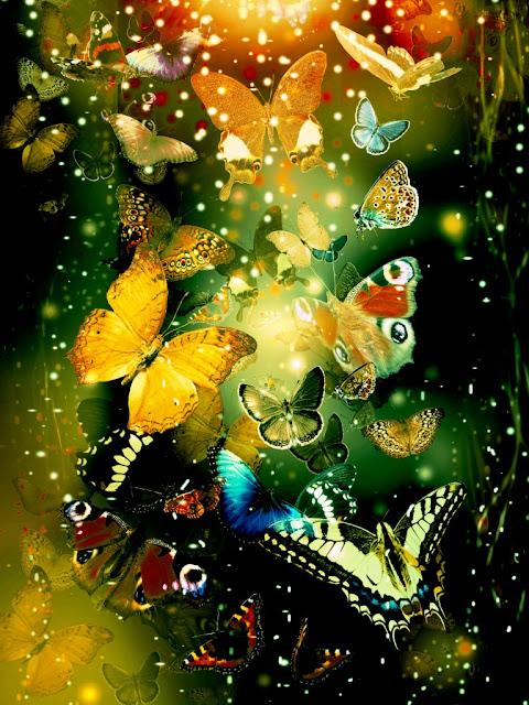 Butterflies iPad Mini Retina Wallpapers