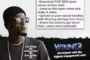 [MUSIK] Dela Naija - The Bag (Open Verse) ft Investor Dj Richdaddy (mp3)