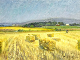 Harvest Field Landscape