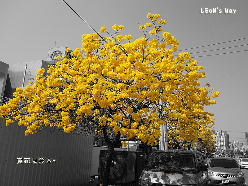blog_011
