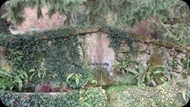 DSC03313