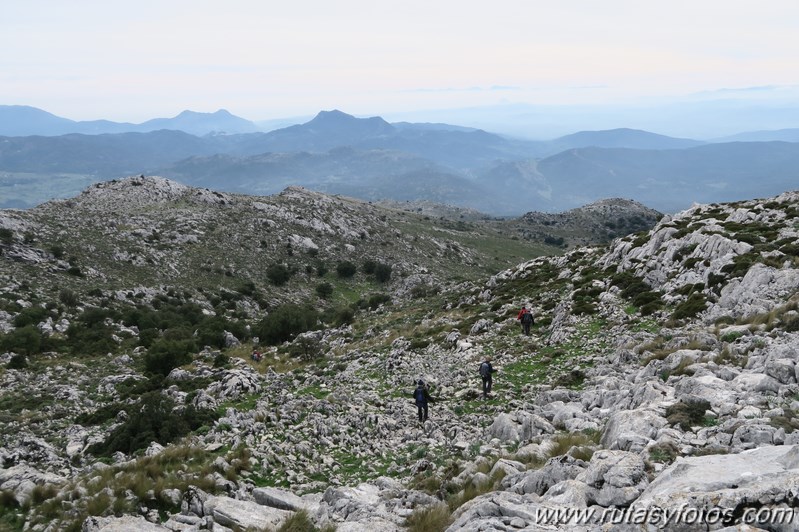 Sierra de los Pinos por las Pulgas