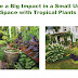 Colorful foliage and unique containers elevate this cozy urban garden