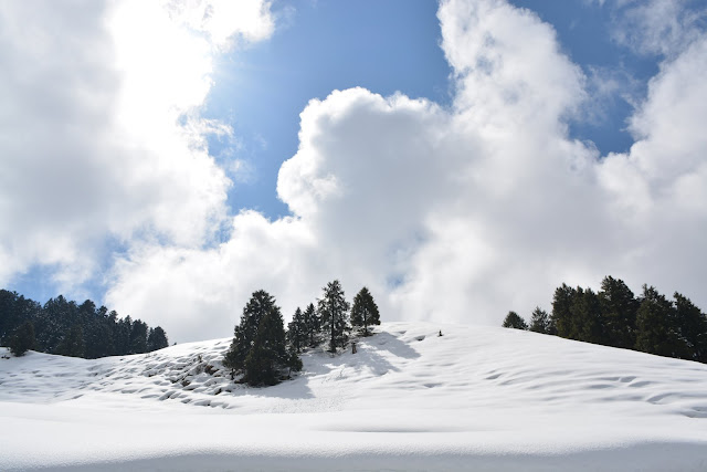 parashar lake