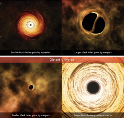 Black Holes