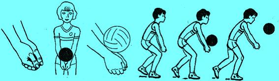 Волейбол: Прийом м'яча