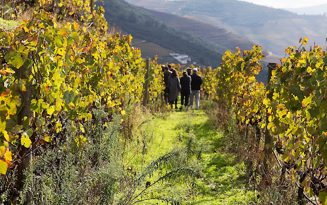 Quinta do Síbio