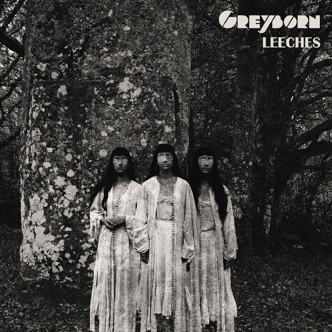 Greyborn - Leeches et concert à Besançon du 3 février 2023