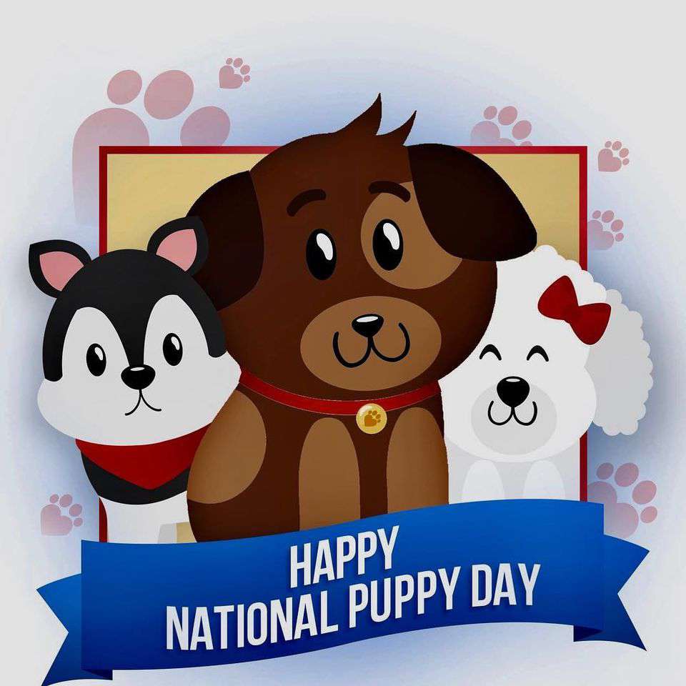 National Puppy Day Wishes For Facebook