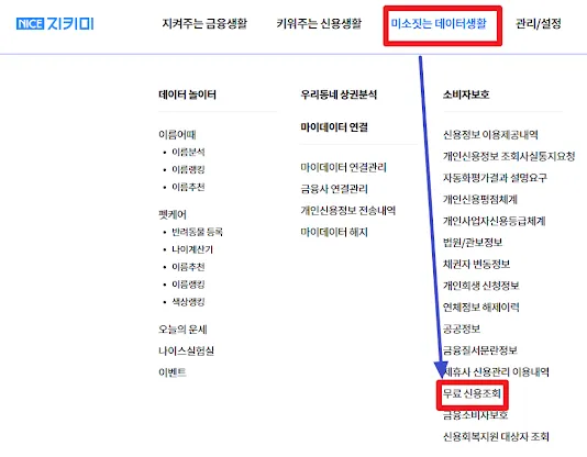 나이스 지키미 무료신용조회