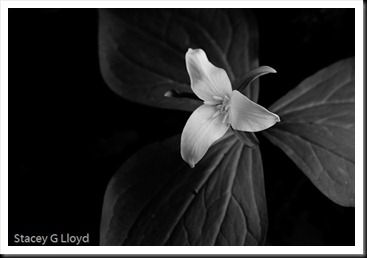 Blog_20100419_1-2