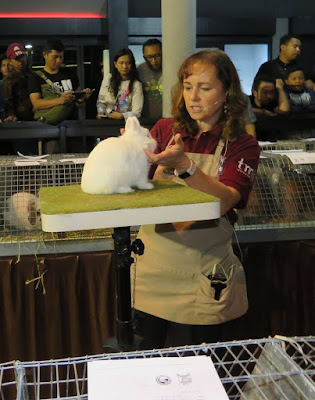 melissa magee at Liputan Kontes Kelinci IBG di TMII 2017