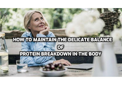 Proteolytic enzyme regulation – Here, we delve into the strategies and systems that maintain the delicate balance of protein breakdown in the body.