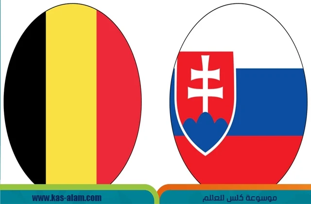 تاريخ مواجهات بلجيكا وسلوفاكيا