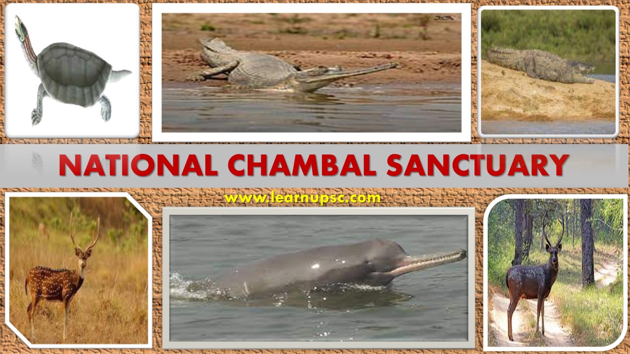 National Chambal Sanctuary - Learn UPSC