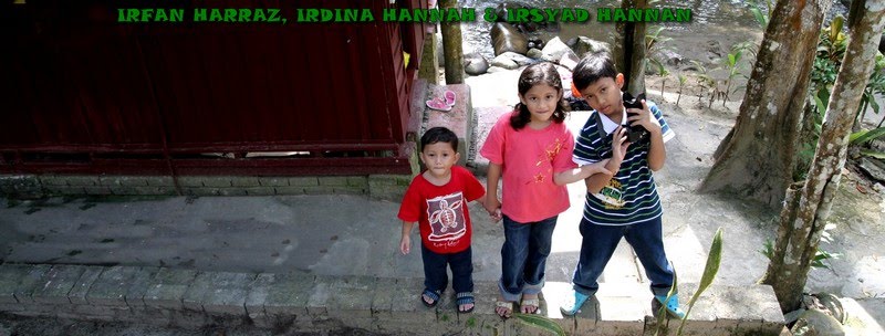 3IR