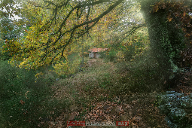 Cabaña en mitad de un robledal de la montaña palentina en una lluviosa mañana de otoño