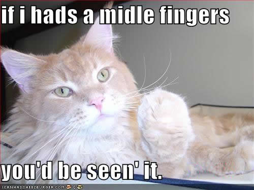 funny-pictures-cat-giving-finger.jpg