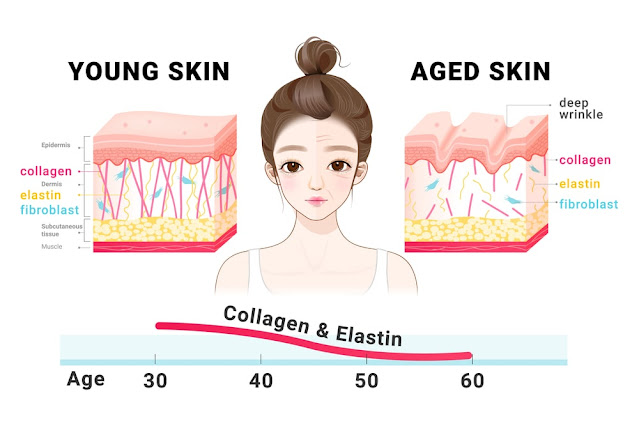 Skin dehydration prevention - Collagen